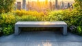 Concrete Bench Overlooking a City Skyline with Lush Greenery Royalty Free Stock Photo