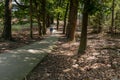 Bike path or trail through woods with a view