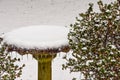 Concrete birdbath and azalea bushes covered with snow and icicles Royalty Free Stock Photo