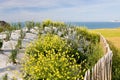 Concrete blindage of Atlantic Wall, France Royalty Free Stock Photo