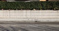 Concrete block fence with hedge on top. Cement sidewalk and urban street in front