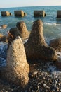 Concrete breakwaters on the seashore.