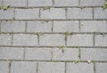 Concrete bricks