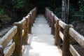 Concrete bridge in the forest, Royalty Free Stock Photo