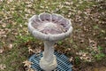 A concrete cement stone bird bath Royalty Free Stock Photo