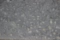 Concrete coating with impregnations of small stones texture Royalty Free Stock Photo