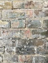 White, speckled, granular, industrial bricks are a keen backdrop - BACKGROUND