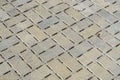 Concrete Detailed Walkway in Mosaic Pattern Royalty Free Stock Photo