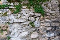 Concrete different gray stone surface with cement and climbing plant. Grey masonry, stonework texture