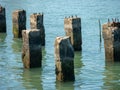 Concrete dock piers in muddy water