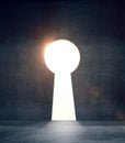 Concrete door in form keyhole Royalty Free Stock Photo