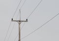 Electric Pole Royalty Free Stock Photo