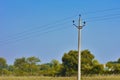 Concrete electric poles in a field under the beautiful blue sky.