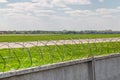 Concrete fence with barbed wire around airport airfield taxiway against blue sky on background. Freedom and security Royalty Free Stock Photo