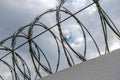 Concrete fence with barbed wire