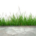 Concrete floor with green grass Royalty Free Stock Photo