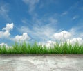 Concrete floor with green grass Royalty Free Stock Photo