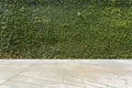 Concrete floor and green leaf ivy plant covered stone fence wall Royalty Free Stock Photo