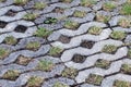 Concrete floor, Texture Decoration brick block on garden walkway, stone walk and pebble in Japanese park, green moss on ground Royalty Free Stock Photo