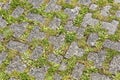 Concrete flooring blocks with grass permeable to rain water as required by the building laws used for sidewalks Royalty Free Stock Photo