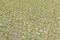 Concrete flooring blocks with grass permeable to rain water as required by the building laws used for sidewalks Royalty Free Stock Photo