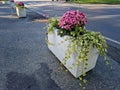 concrete flower pots form an obstacle at the crossing near the