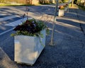 concrete flower pots form an obstacle at the crossing near the