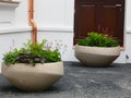 concrete flower pots with green plants