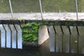 Concrete footbridge with iron railing