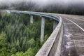 Concrete forest bridge freeway road