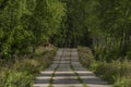 Concrete forest path in Slavkovsky Les national park in summer day