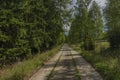 Concrete forest path in Slavkovsky Les national park in summer day