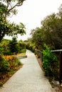 Concrete forest walking path to the Gap ocean cliff at the Watsons Bay of Sydney