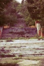 Concrete grassy stairway in the old urban park Royalty Free Stock Photo