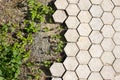 Concrete gray hexagon tiles, honeycomb tiles texture background, ground soil and grass weeds. Top view Royalty Free Stock Photo