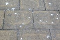 Concrete grey pavement side walk splashed with bird and Pigeon waste. Urban, dirty, grungy, background Royalty Free Stock Photo