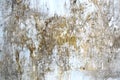 Concrete grey wall with ols cracked paint. Yellow, grey, white and beige colors. Abstract photo background. Urban style Royalty Free Stock Photo