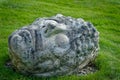 A concrete head in the grass