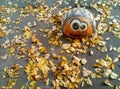 Concrete hemisphere for fencing parking cars in the form of a Colorado smiling beetle on asphalt covered