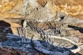 Concrete hose between piles at a construction site. Pile concreting. Pile field of bored piles for further pouring of the Royalty Free Stock Photo