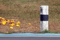 Concrete kilometre sign pole on the roadside with nature grass background, concrete pillar kilometer on the road and yellow