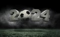 Concrete 2024 numerals with soccer ball raising above green grass with smoke over dark background. 3D render of stadium
