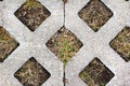 Concrete ornament road tile with grass Royalty Free Stock Photo