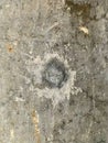 Concrete patch bullet hole