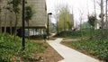 Concrete path in a garden in Barcelona