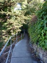 Concrete Path with metal rail