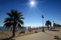 Concrete path with palms on empty beach