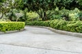 Concrete Pathway in garden