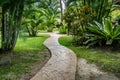 Concrete Pathway in garden