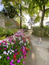 Concrete pathway lined with beautiful Impatient flowers